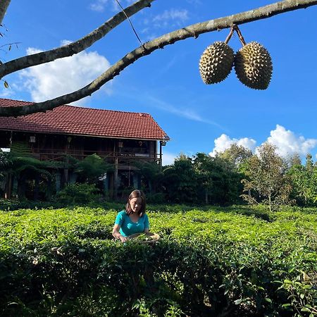 Вилла Tea Garden House Баолок Экстерьер фото