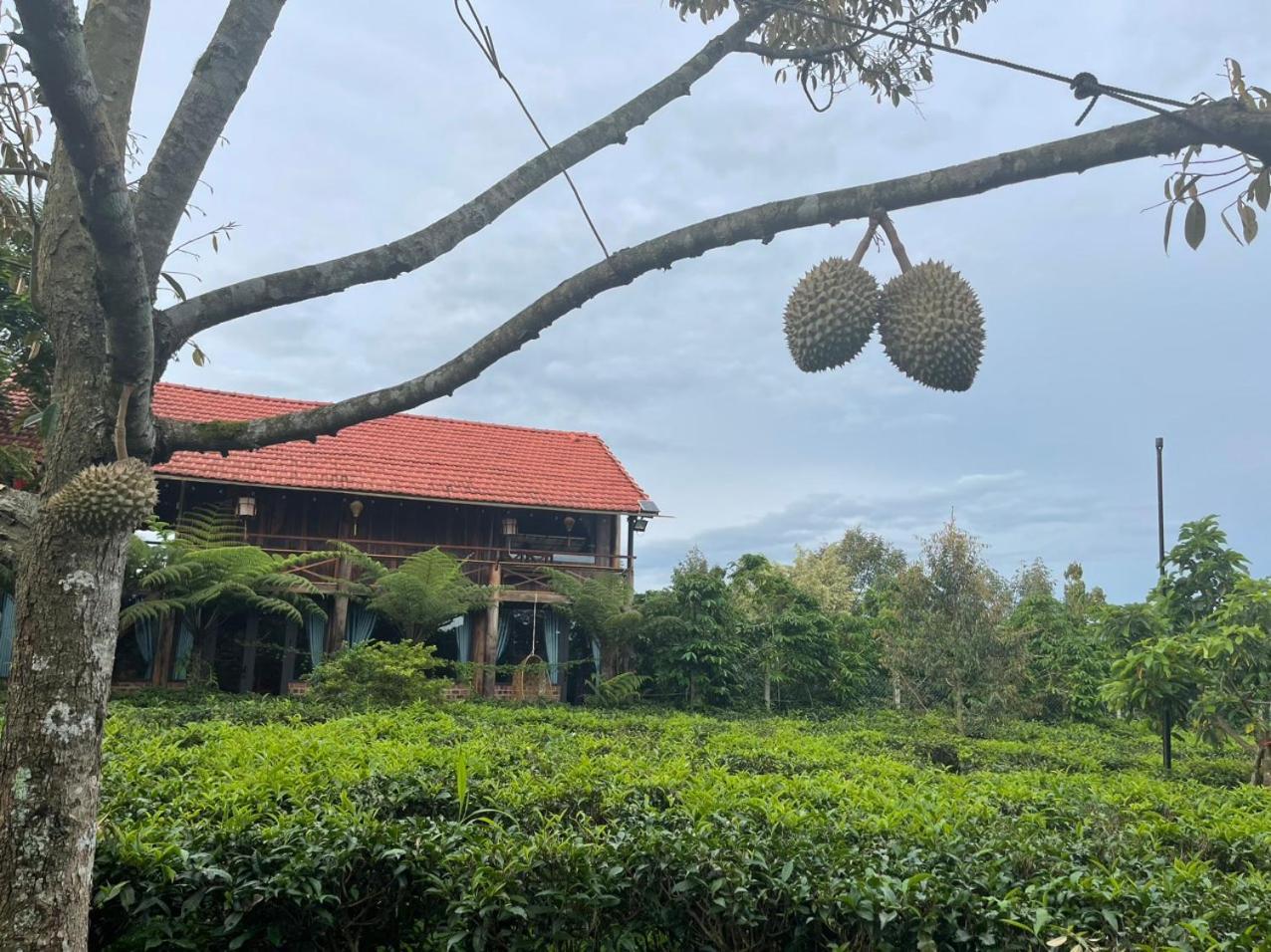 Вилла Tea Garden House Баолок Экстерьер фото