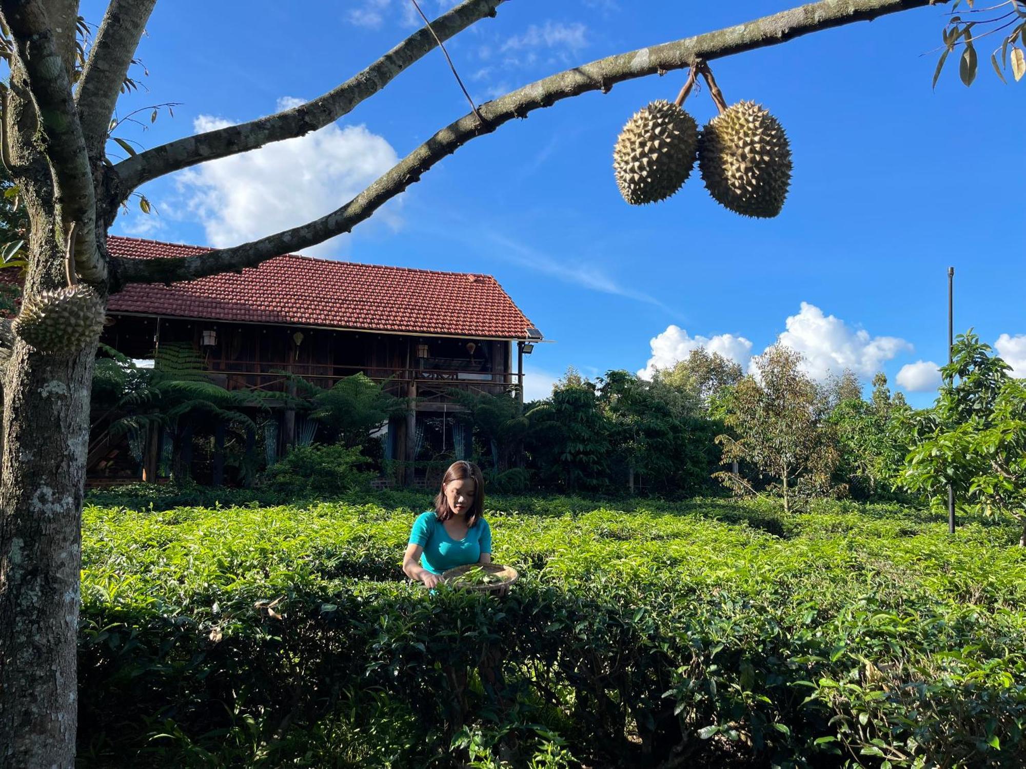 Вилла Tea Garden House Баолок Экстерьер фото
