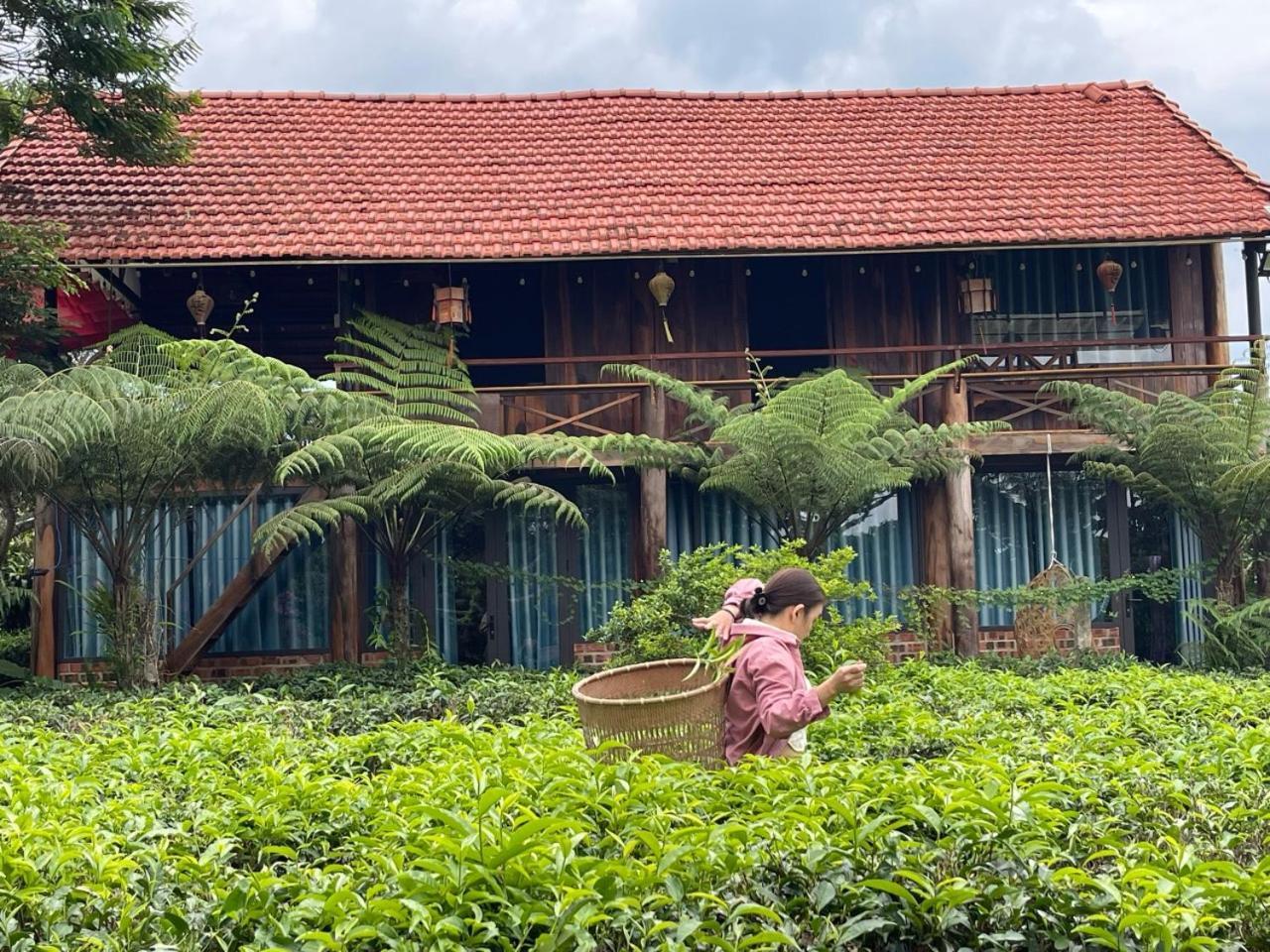 Вилла Tea Garden House Баолок Экстерьер фото