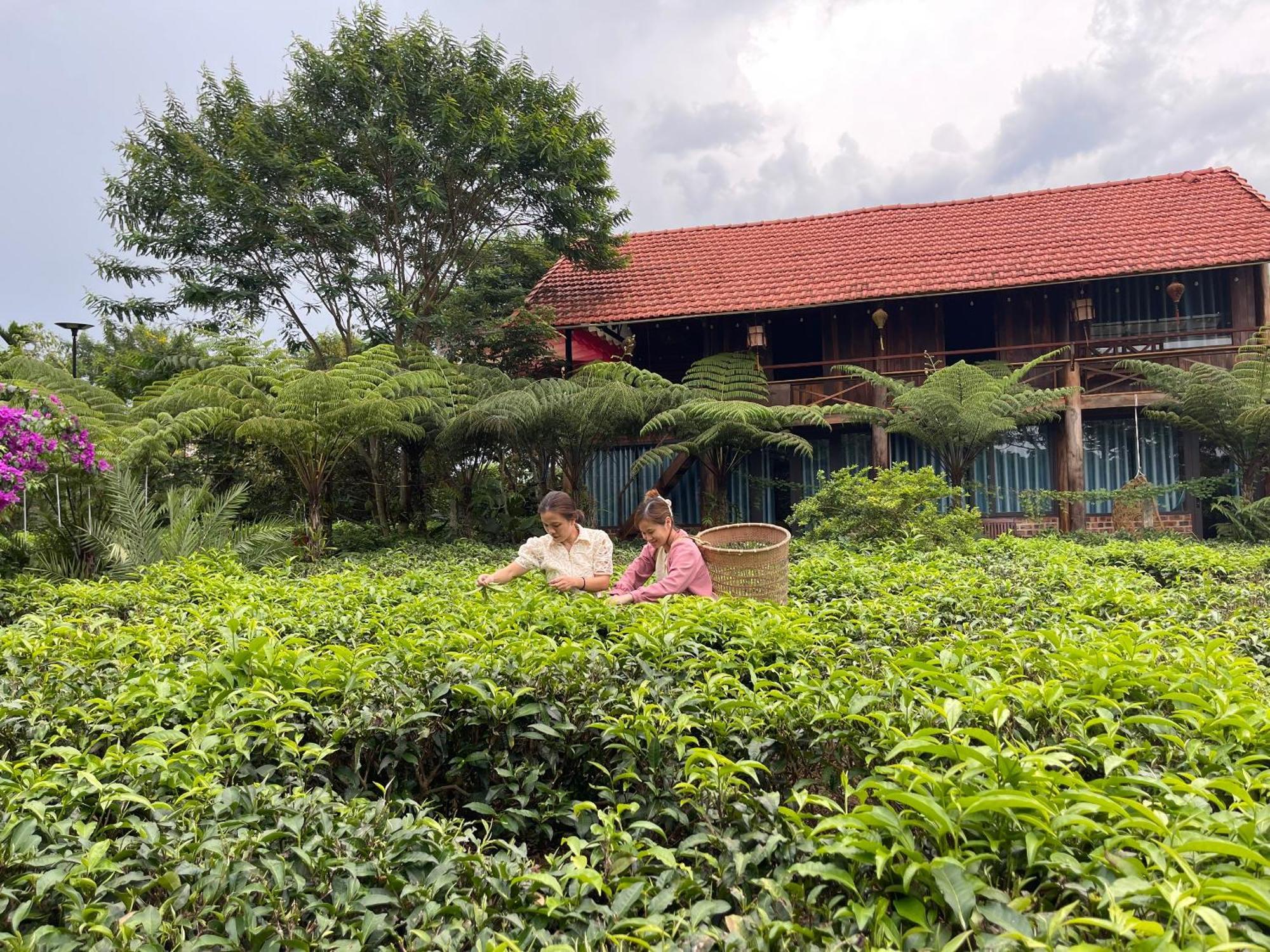 Вилла Tea Garden House Баолок Экстерьер фото
