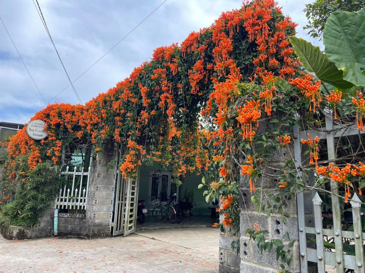 Вилла Tea Garden House Баолок Экстерьер фото